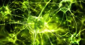Immagine di Neuroni per Liberi dallo stress