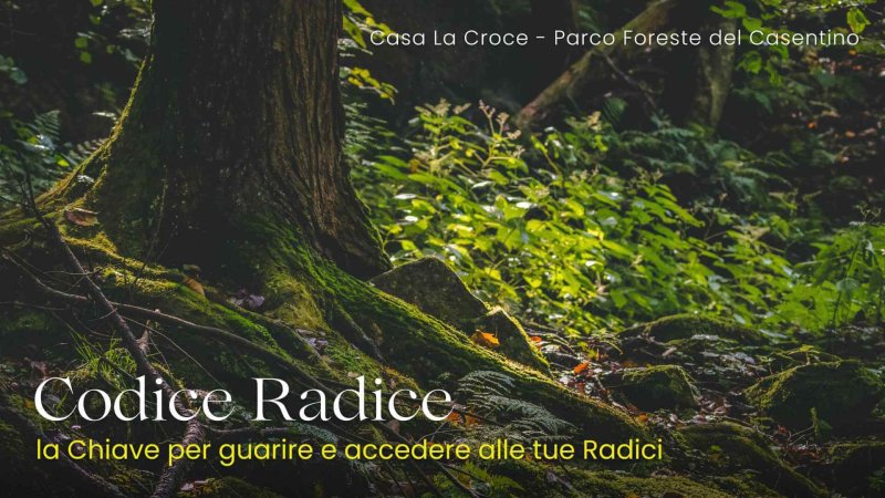 Codice-Radice.jpg